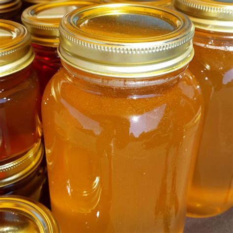 colorado honey festival   localworks