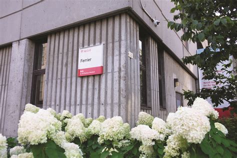 Water advisories issued due to high lead levels in six McGill buildings