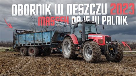 MF NA PEŁNYCH OBROTACH CZYLI OBORNIK W DESZCZU 2023MASSEY FERGUSON