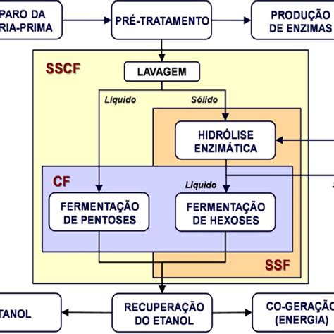 Pdf Pr Tratamento De Baga O De Cana Co Supercr Tico Na Presen A