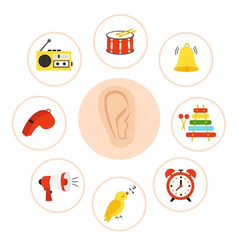 Premium Vector | Sense organs poster Vector illustration Sense of hearing