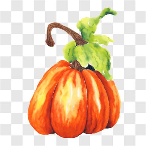 Descarga Calabaza De Acuarela Con Hojas Verdes Para Decoraciones De