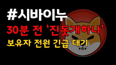 시바이누 보유자 전원 오늘부터 비상입니다 코인추천 Youtube