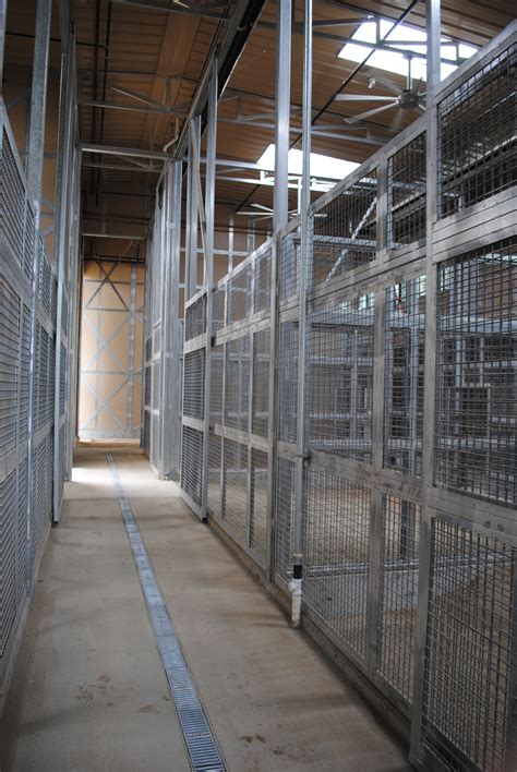 Caging – A Thru Z Consulting & Distributing, Inc.