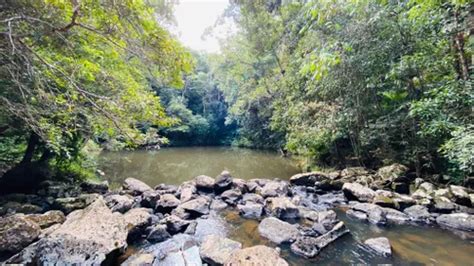 Best Hikes And Trails In Danbulla National Park Alltrails