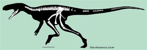 Staurikosaurus Pictures & Facts - The Dinosaur Database