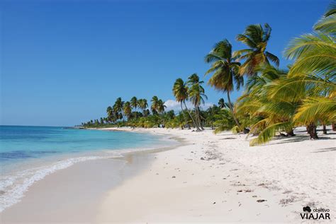 Isla Saona Una Escapada Imprescindible Objetivo Viajar