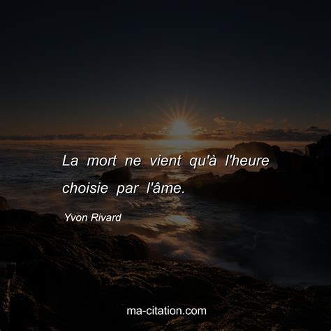 Mauvais Garcon A La Vie A La Mort 1