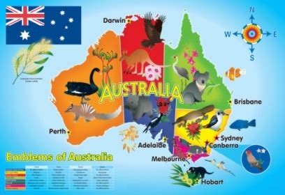 Mapa De Australia Emblemas Fauna Y Flora L Mina X Cm