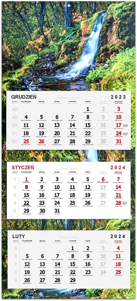 Kalendarz Tr Jdzielny Cienny Sklepy Opinie Ceny W