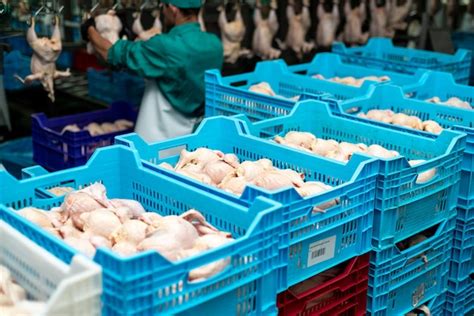 Un Hombre Con Uniforme Verde Est Poniendo Pollo En Una Caja Azul