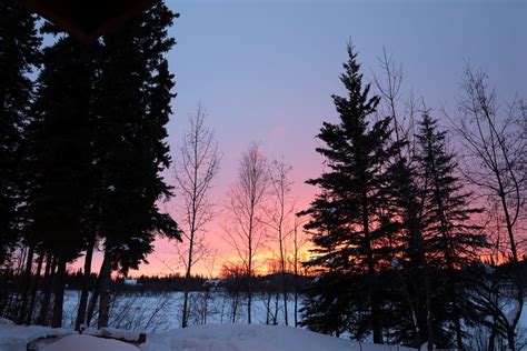 Discover Winter Magic + Food in Fairbanks | Wander With Wonder