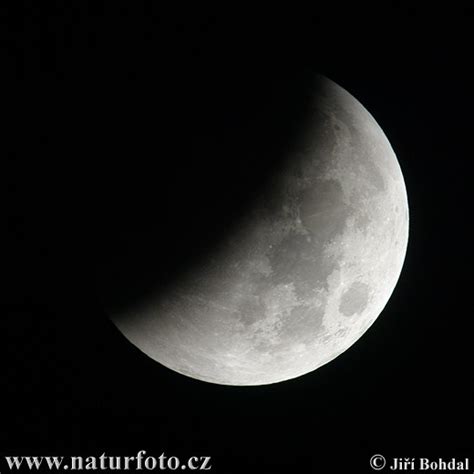 Moon - Eclipse Photos, Moon - Eclipse Images, Nature Wildlife Pictures ...