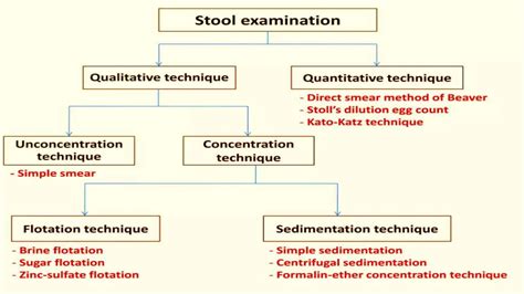 Concentration Techniques For Stool Examination Pptx