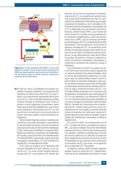 Fisiolog A Veterinaria Sacristan Pdf