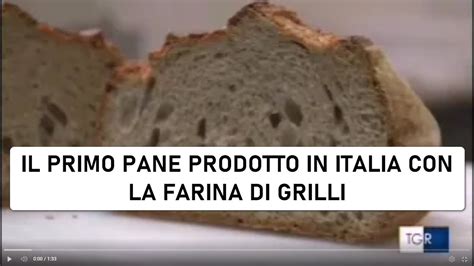 Il Primo Panificio Italiano A Fare Il Pane Con Farina Di Grillo Youtube