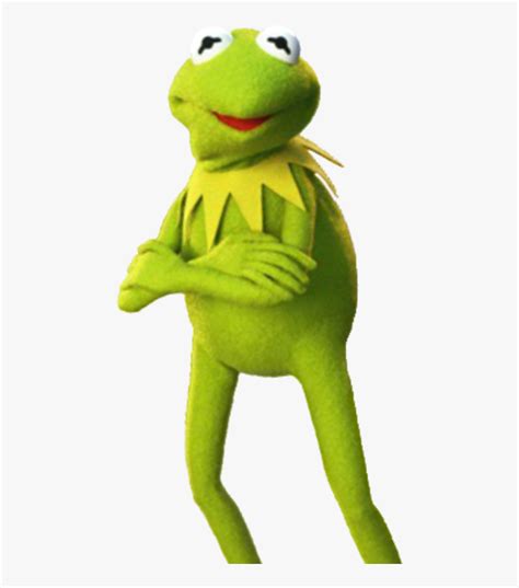 Kermit Png Transparent Png Transparent Png Image PNGitem