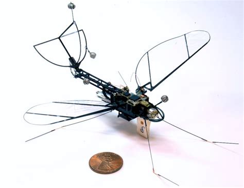 57 best images about Insects drones on Pinterest | Political events ...