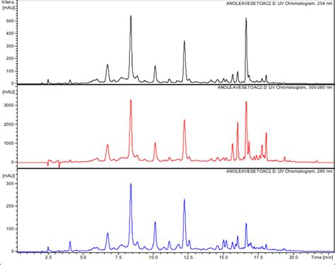 Rp Hplc Dad Chromatogram Of Chloroform Fraction Of A Leiocarpus Leaves