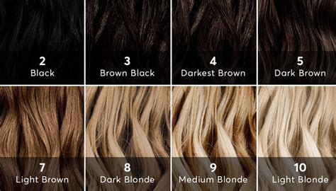 Madison Reed Hair Color Chart