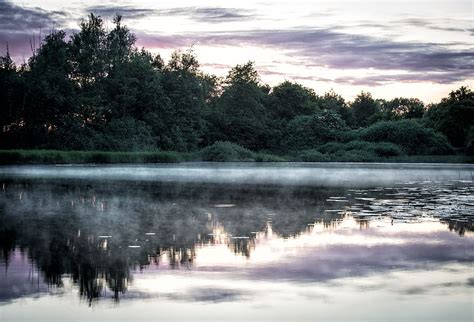 HD Wallpaper Green Tree Beside Body Of Water With Fog On Top Evening