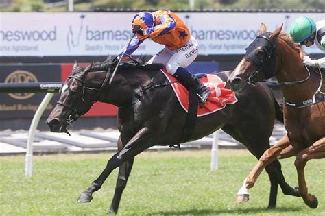 Auckland Racing Club Ellerslie Racecourse