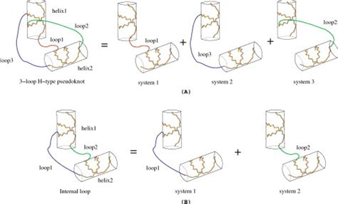 The Calculation Of The Loop Entropy For A Given Helix Configuration Can