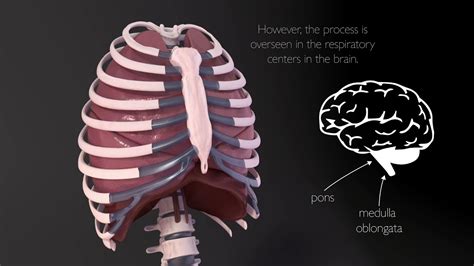 Medical illustrator salary - ogwes