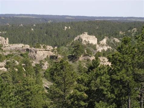 National Forest: Nebraska National Forest