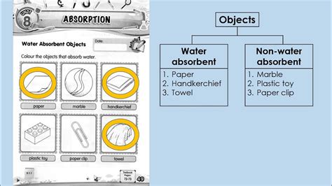 Science Year 1 Unit 8 Absorption Lets Classify Water Absorbent And Non