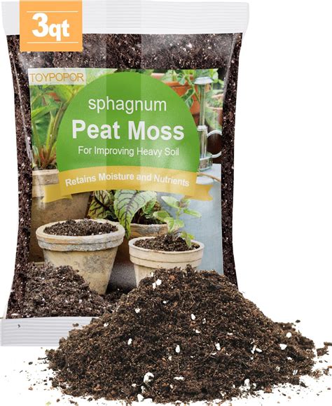 Amazon Miracle Gro Sphagnum Peat Moss Qt For Containers And