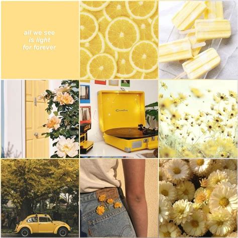 Yellow Moodboard Pastel Flowers Vintage Aesthetic Pastel