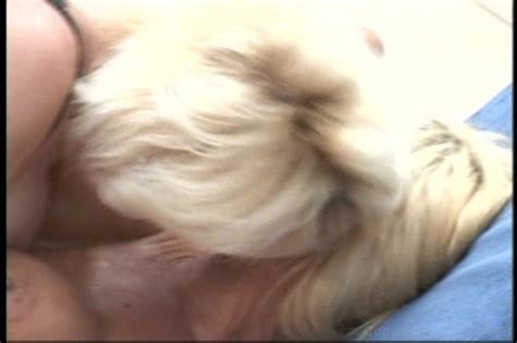 Scene From Pussyman S Big Boob Heaven By Feline Films HotMovies