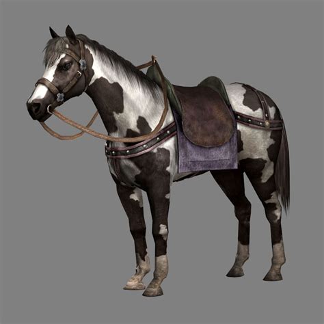 Image - Black Bay Horse (DW8 DLC).jpg | Koei Wiki | FANDOM powered by Wikia