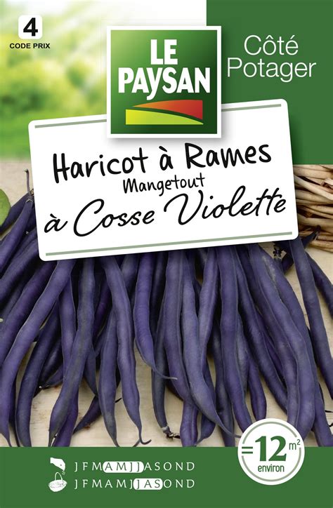 Haricot A Rames Mangetout A Cosse Violette Le Paysan Semences Et