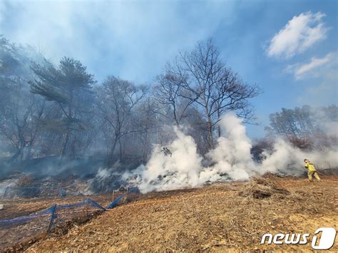 옥천 청산면서 산불 1시간만에 진화인명·재산 피해 없어 네이트 뉴스