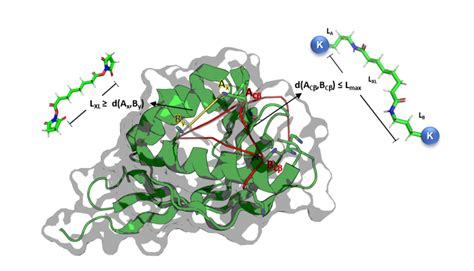 cross linking information  identification   cross link