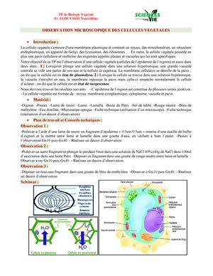 LES Membranes Internes Cours de Biologie Cellulaire Présentés par Mr