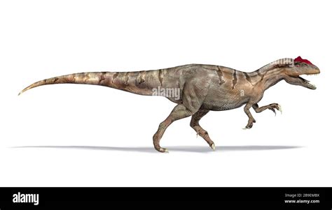 3D Illustration Of An Allosaurus Dinosaur Side View Stock Photo Alamy