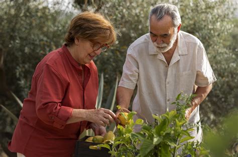 Las Plantas De Interior Aliadas Para Personas Con Alzheimer