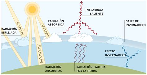 Infografías De Biología Química Y Física Educar