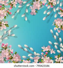 Spring Vector Background Pussy Willow Branches Stock Vector Royalty Free Shutterstock