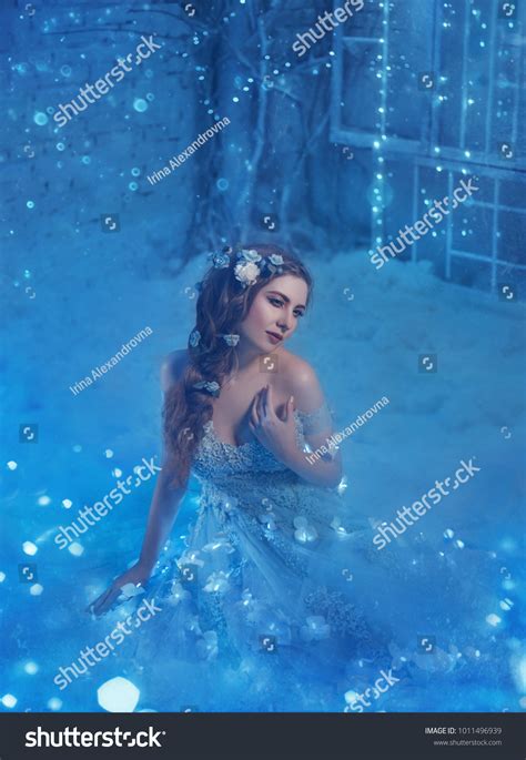 Sexy Cute Brunette Snow Queen Luxury Stock Photo Shutterstock