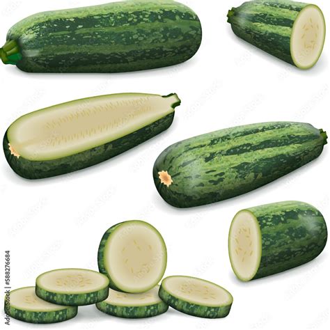 Set With Whole Half Quarter Slices Of Marrow Squash Or Vegetable