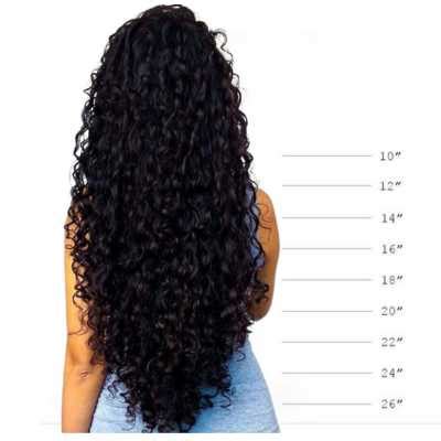 Curly Hair Length Chart