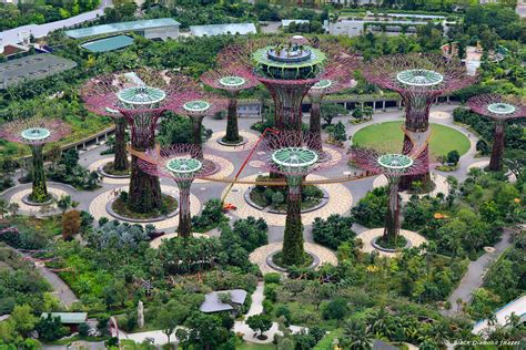 Supertree Grove Gardens By The Bay Viewed From The Top De Flickr