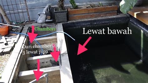 Filter Kolam Ikan Koi Newstempo