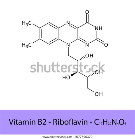 Vitamin B2 Riboflavin Skeletal Structure Molecular Stock Vector