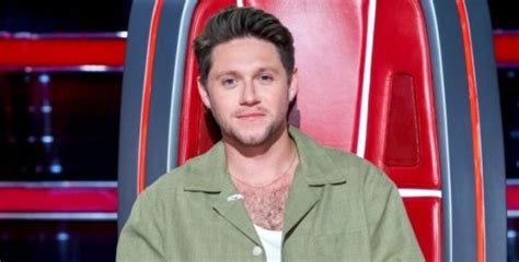 Niall Horan Biography Career Net Worth And Other Interesting Facts