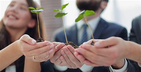 Entenda A Sustentabilidade No Rh E Como Ela Afeta O Ambiente